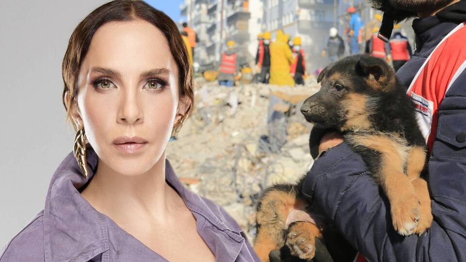 Depremden etkilenen hayvanlar için çiftlik kurdu