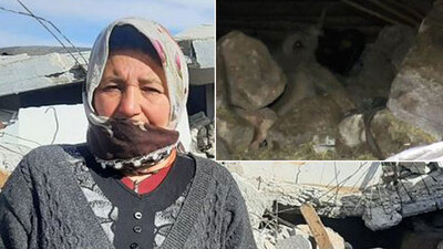 Enkazın altında kalan 'Bircan' kurtarıldı