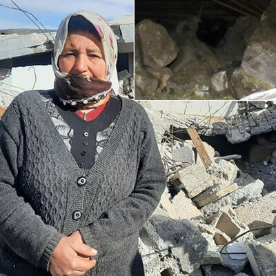 Enkazın altında kalan 'Bircan' kurtarıldı