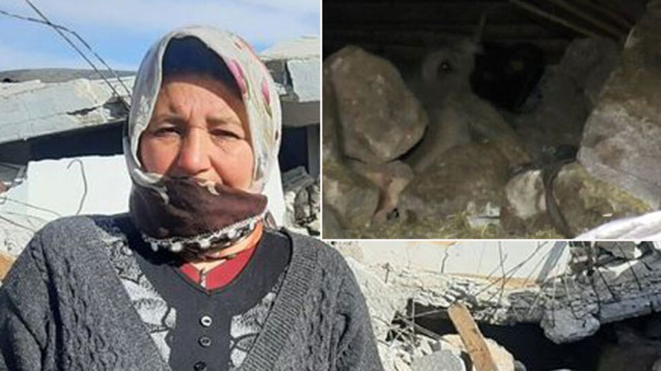 Enkazın altında kalan 'Bircan' kurtarıldı