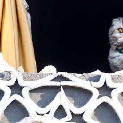 Yüzündeki korku her şeyi anlatıyor...