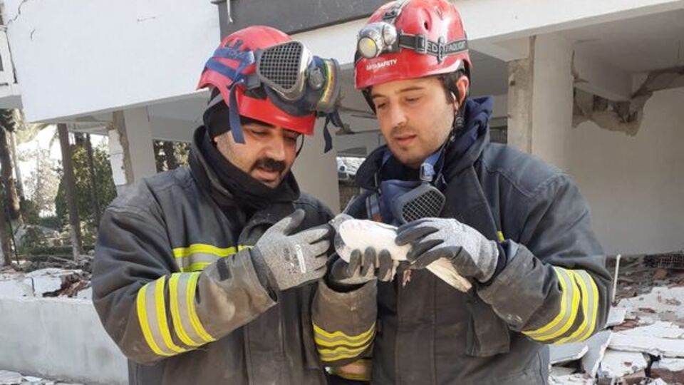 Hatay'da enkaz altındaki 2 güvercin kurtarıldı