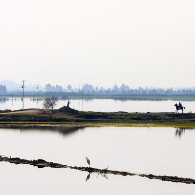 Deprem bölgesi Hatay'da Karasu Çayı taştı!