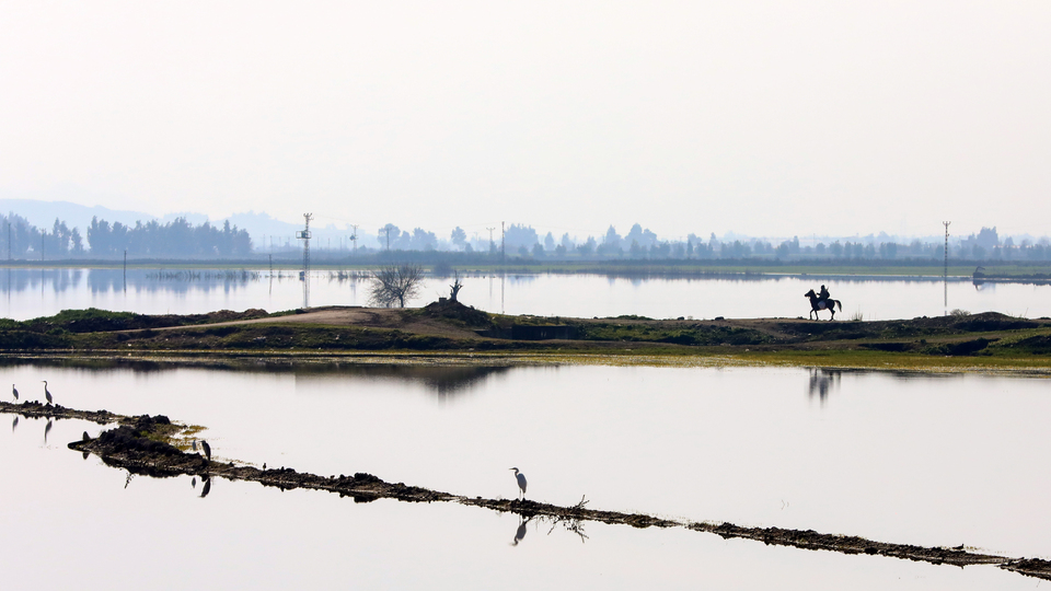 Deprem bölgesi Hatay'da Karasu Çayı taştı!
