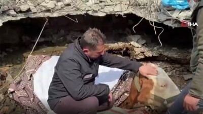 "Asi"den 15 gün sonra güzel haber