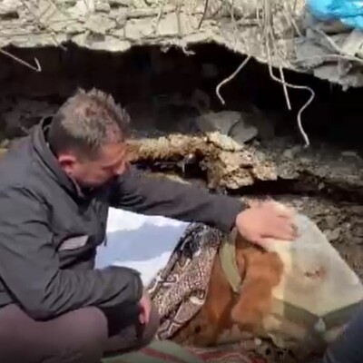 "Asi"den 15 gün sonra güzel haber