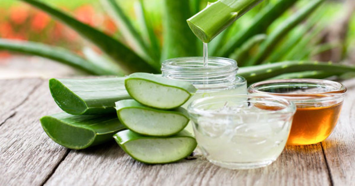 Aloe vera nasl baklr? Evde kolay teknikleriyle aloe vera bakm ve  sulama htka