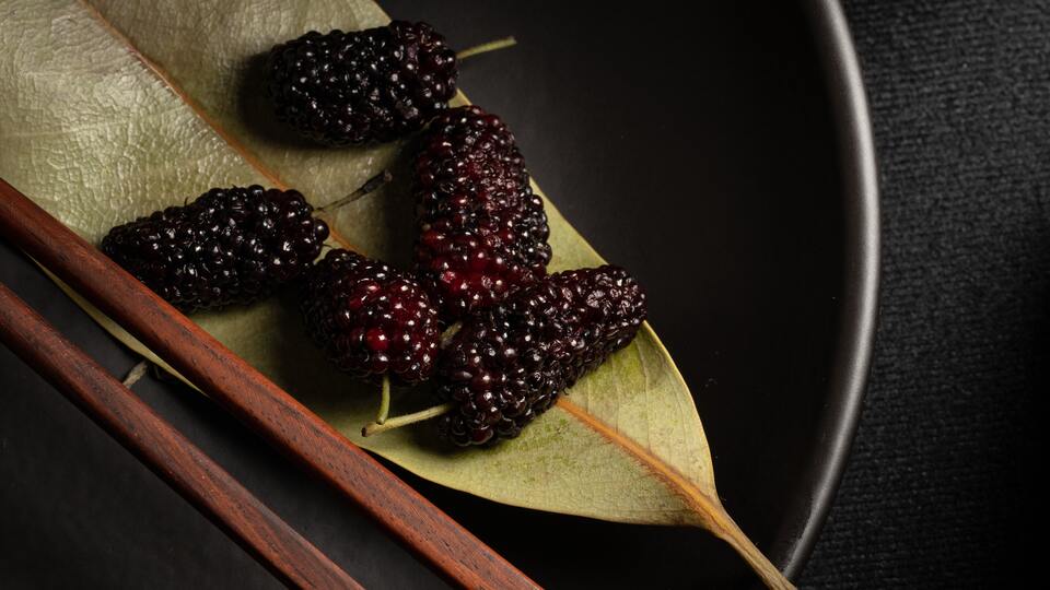 Karadut özü nasıl tüketilir?