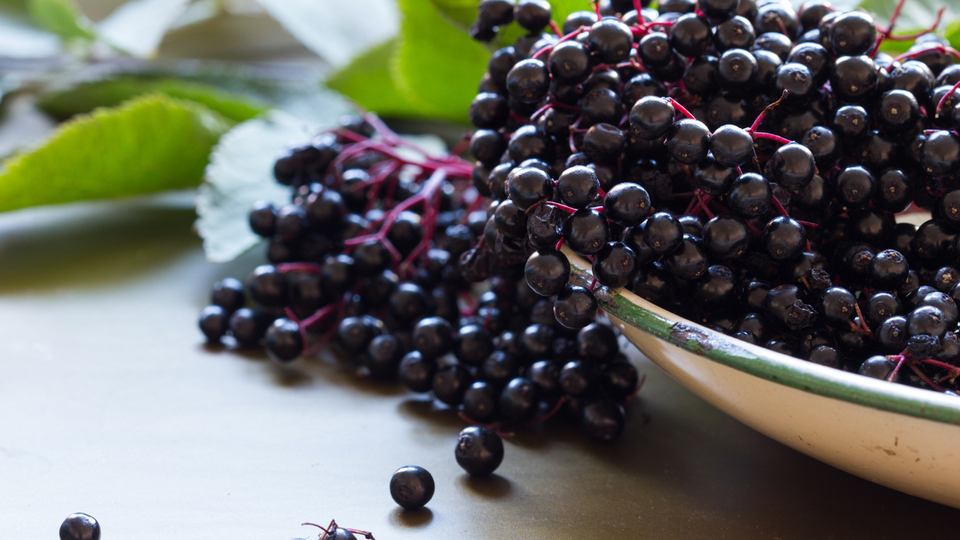 Kara Mürver nasıl tüketilir?