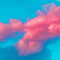 Rüyada Civciv Görmek