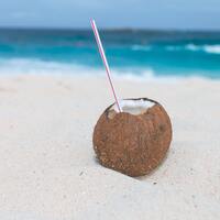 Hindistan cevizi nasıl tüketilir?