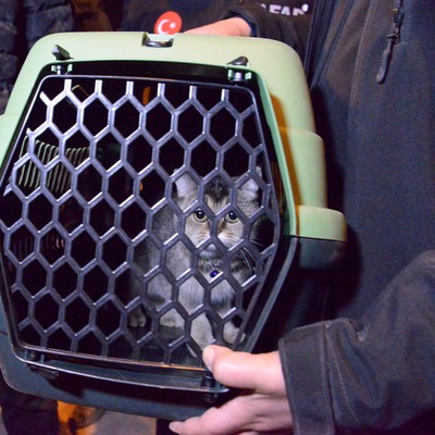 13'e ulaştı! Kurtarılıyorlar