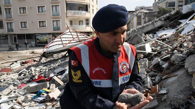 5 günlük yavru kedi enkaz altından sağ olarak kurtarıldı
