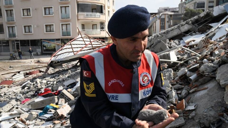 5 günlük yavru kedi enkaz altından sağ olarak kurtarıldı