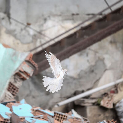 Riskli bölgeler Türkiye'nin yüzde 63'ü