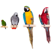 Papağan türleri, cinsleri ve özellikleri