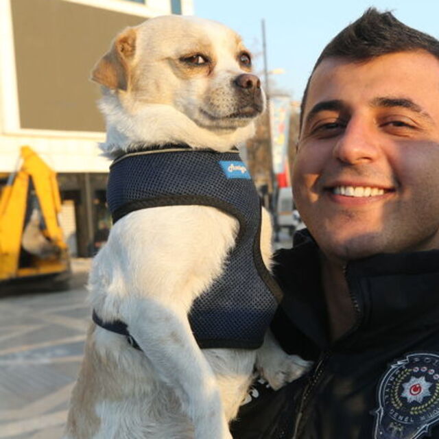 Çevik kuvvet sahiplenmişti! 'Afitap' sahibine teslim edildi