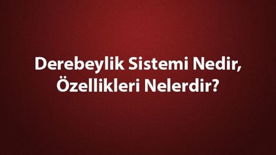 Derebeylik sistemi nedir, özellikleri nelerdir?