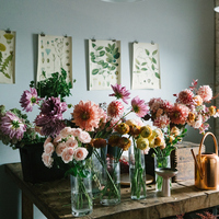 Ametist çiçeği nasıl bakılır?