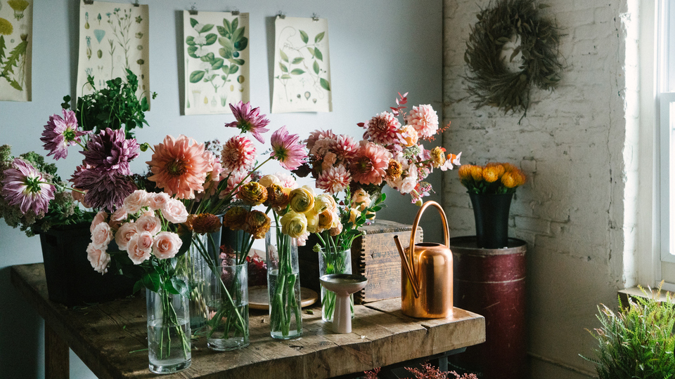 Ametist çiçeği nasıl bakılır?