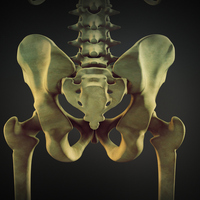 Kalça kırığı ameliyatı sonrası dikkat edilmesi gerekenler