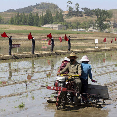 O ülke alarmda: Salgının ardından yeni kriz!