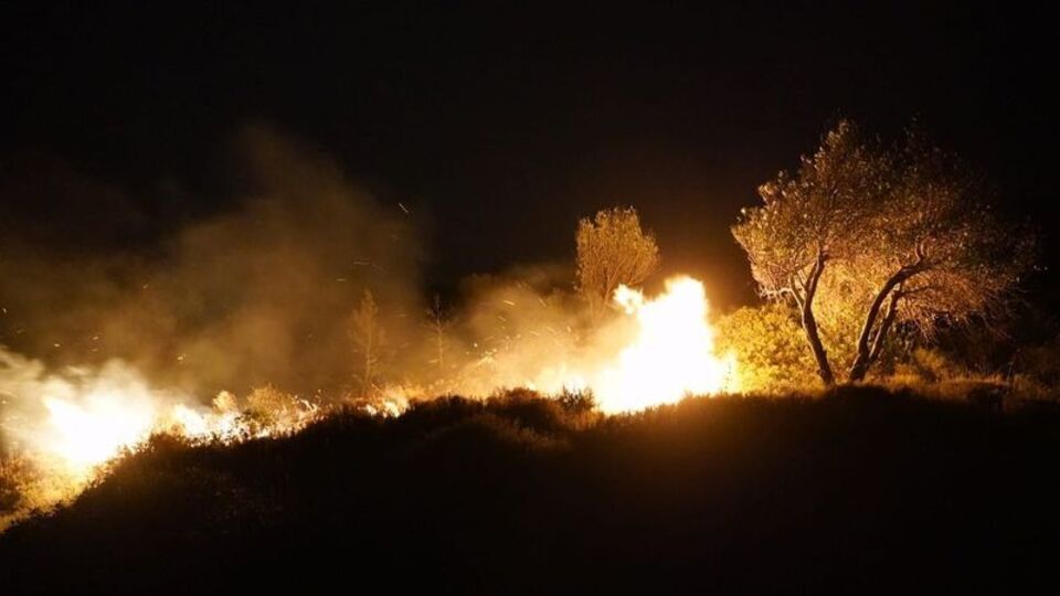 Çeşme'de ağaçlık alanda korkutan yangın