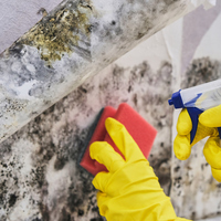 Küf lekesini gideren yollar