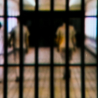 T tipi cezaevi nedir?