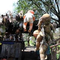 Bu adanın her yanı ürkütücü bebeklerle kaplı