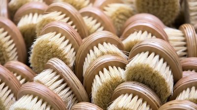 At kılı fırçası doğru kullanımı