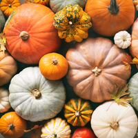 Kabak lifi doğru kullanımı