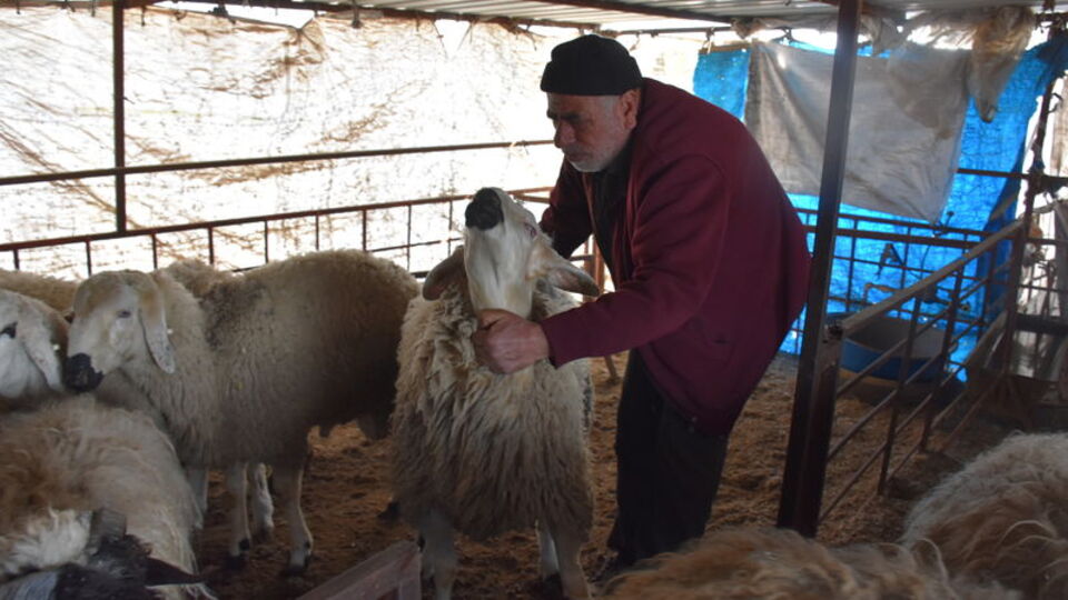 Kahramanmaraş'ta kurban bağışları ihtiyaç sahiplerine gidiyor