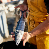 Palamut nasıl temizlenir?