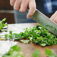 Maydanoz nasıl saklanır?