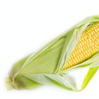 Mısır buzluğa nasıl konur?