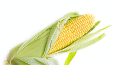 Mısır buzluğa nasıl konur?