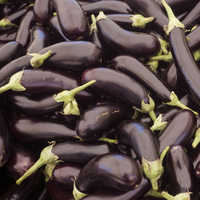 Patlıcan buzluğa nasıl konur?