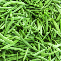 Taze fasulye buzluğa nasıl konur?