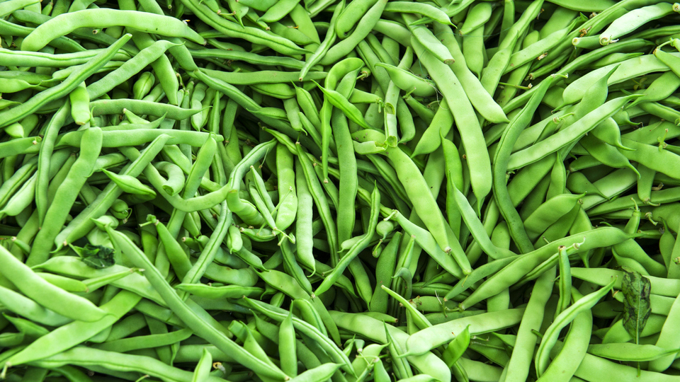 Taze fasulye buzluğa nasıl konur?