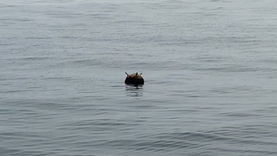 Kastamonu açıklarında tespit edilen mayın imha edildi