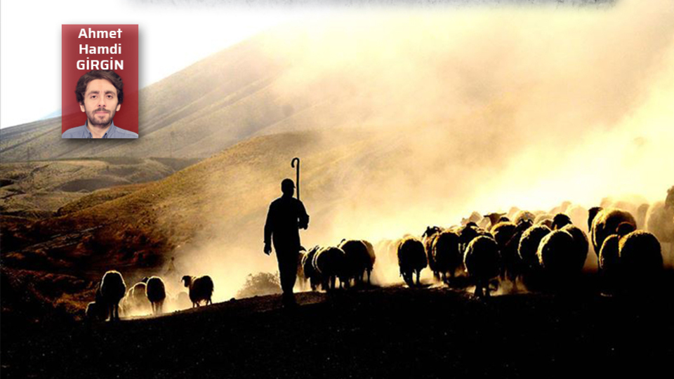 Deprem bölgesinin tarım ve hayvancılıktaki payı