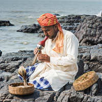 Hindistan'da yılanlar gerçekten dans mı ediyor?