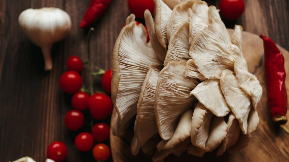 İstiridye mantarı nasıl yetiştirilir?