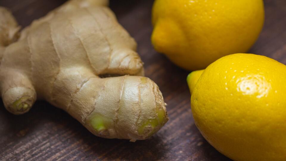 Zencefil nasıl yetiştirilir?