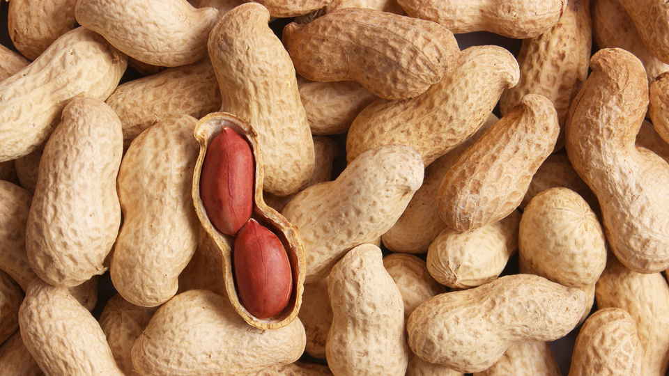 Yer fıstığı nasıl yetişir?