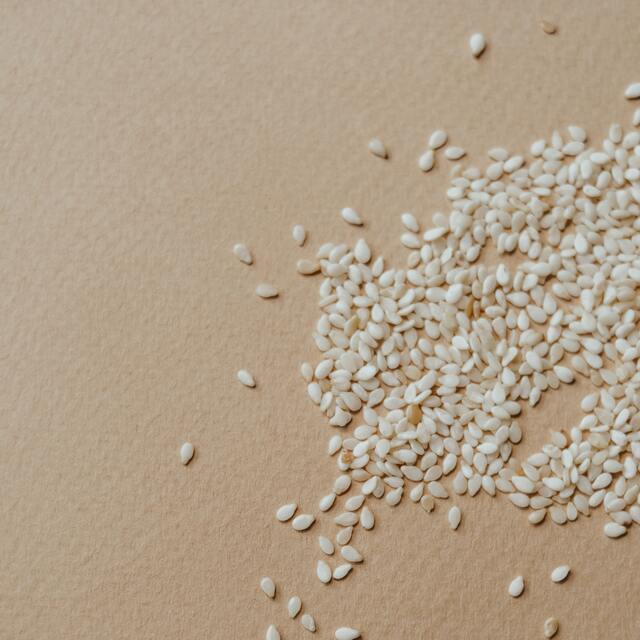 Susam nasıl yetişir?