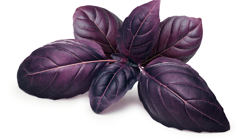 Reyhan nasıl tüketilir?