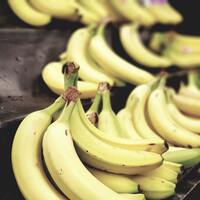 Muz nasıl yetişir?