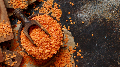 Mercimek nasıl yetişir?